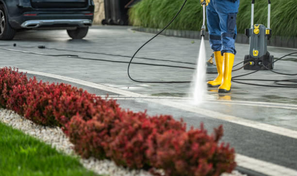 Best Affordable Pressure Washing  in Powell, WY